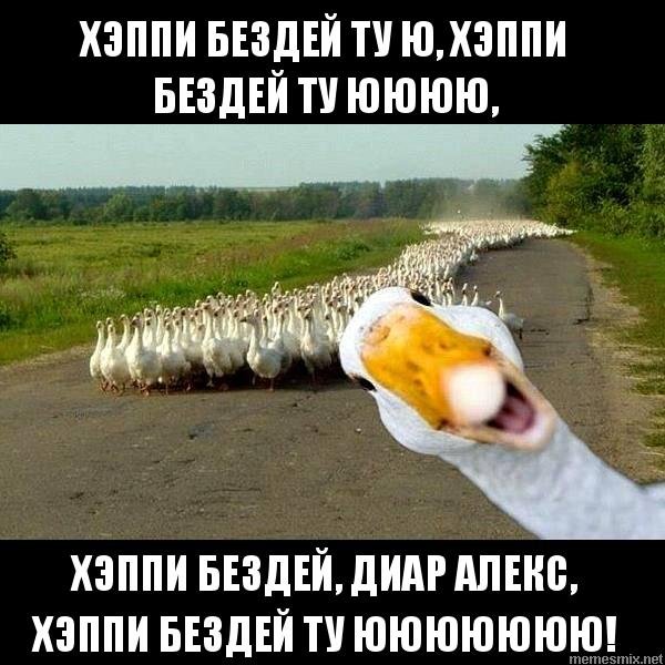Куку ёпта
