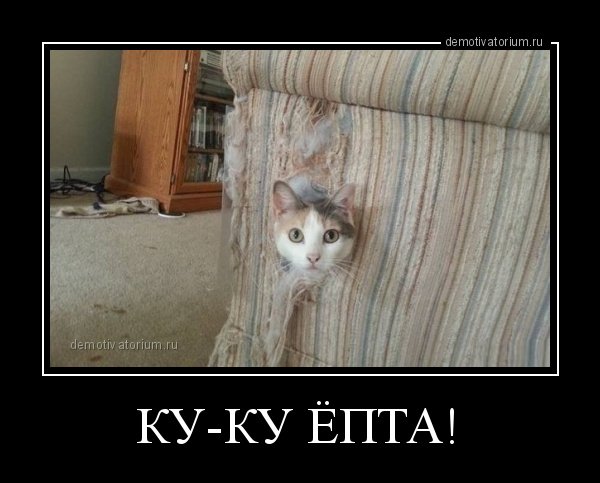 Кот Куку епта