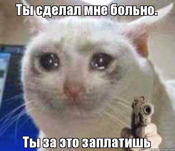 Печальный кот Мем