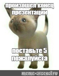 Конец презентации