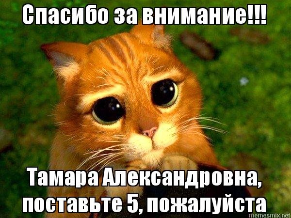 Спасибо за внимание поставьте 5