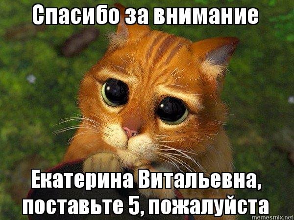 Поставьте пять пожалуйста