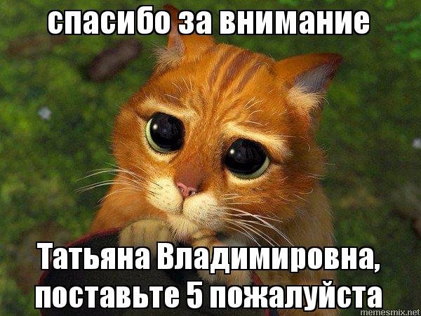Спасибо за внимание поставьте зачет