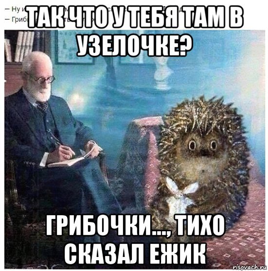 Ёжик в тумане мемы