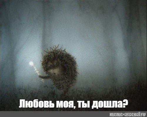 Ежик в тумане Мем