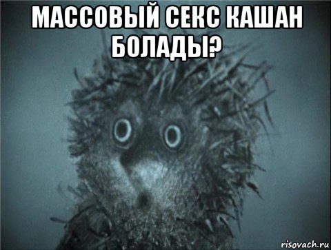 Бунт от Ёжика