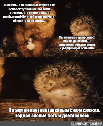 Ёжик в тумане мемы