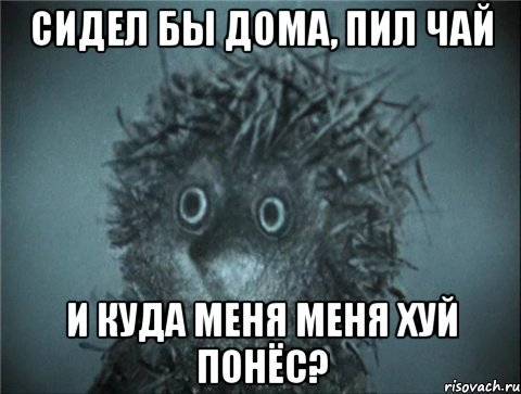 Ёжик в тумане мемы