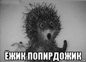 Ёжик и лошадка мемы