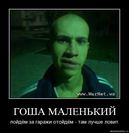 Гоша приколы с именем