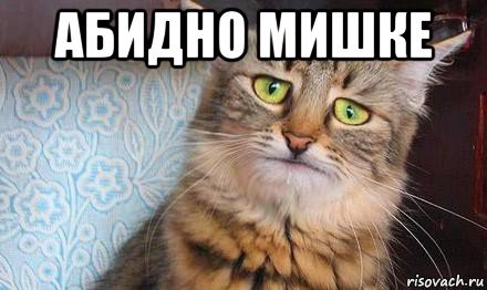 Абидна Мем с котом