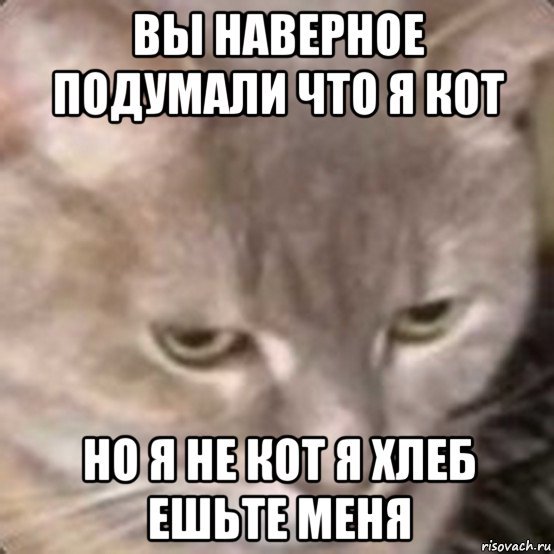 Я хлеб не ешь меня