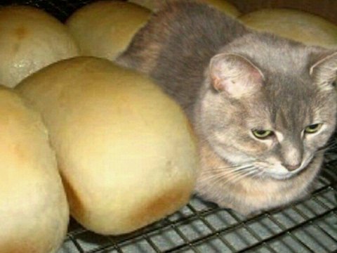 Не ешь подумай