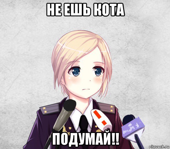 Зачем Мем кот