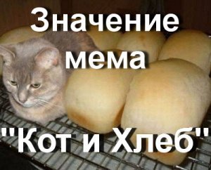 Я хлеб не ешь меня
