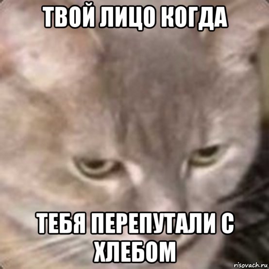 Не ешь меня Мем