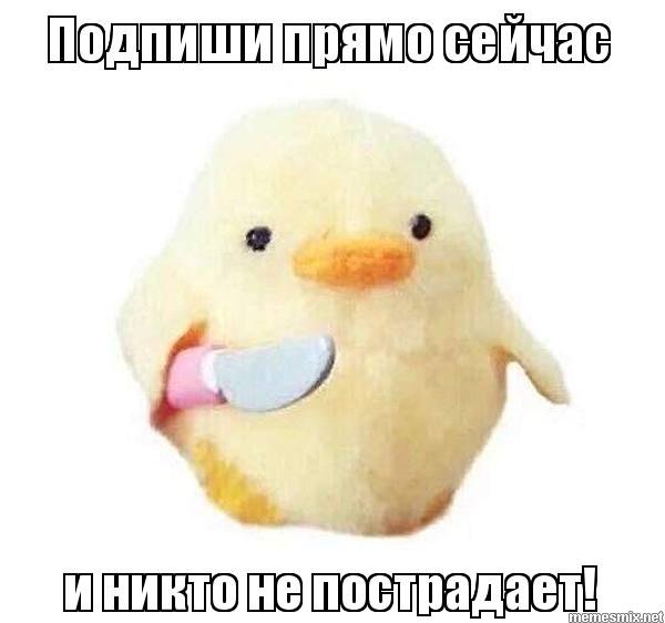 Цыпленок Мем