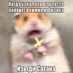 Мемы про хомяка с крестом (48 фото)