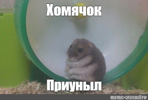 Хомяк Мем
