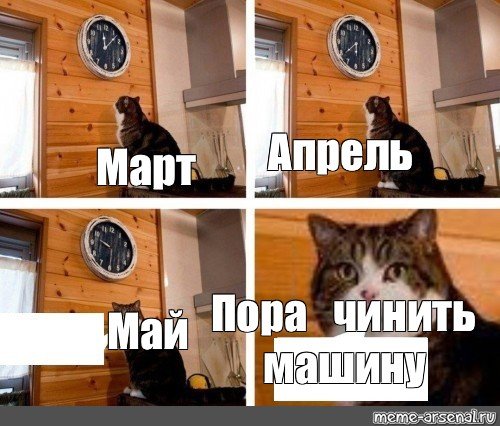 О нет кажется я опоздал кот