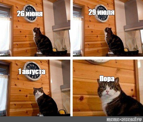 Мем с котом и часами