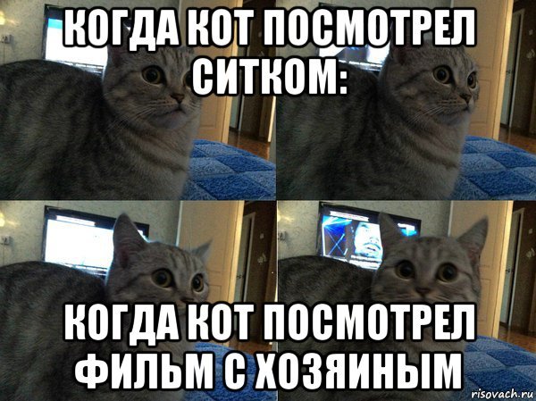 Котик с часами Мем