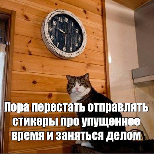 Кот перед часами Мем