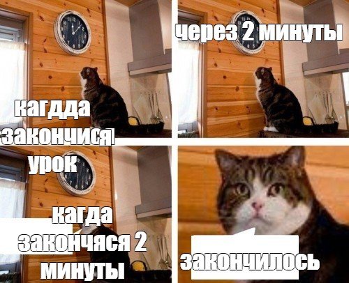 Мем кот пора шаблон
