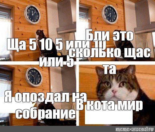Кот и часы мемы