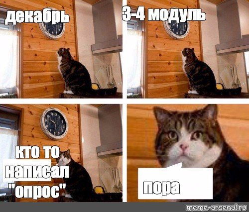 Мем с котом и часами пора