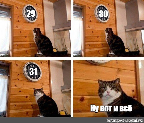 Истеричка и кот Мем