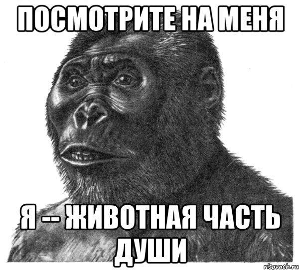 Крик испуганной мартышки Мем