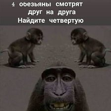Мемы про обезьяну смотрящую в сторону (46 фото)