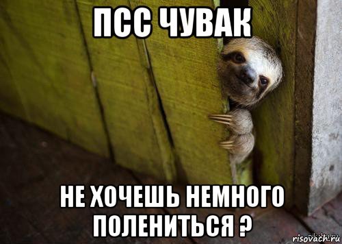 ПСС парень не хочешь