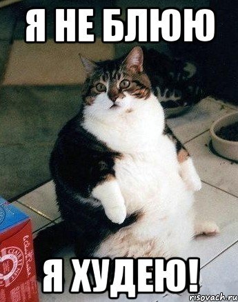 Кот рыгает Мем