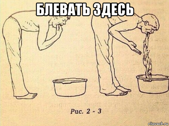 Стикеры коты мемы