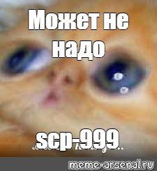 Мем с котиком не надо