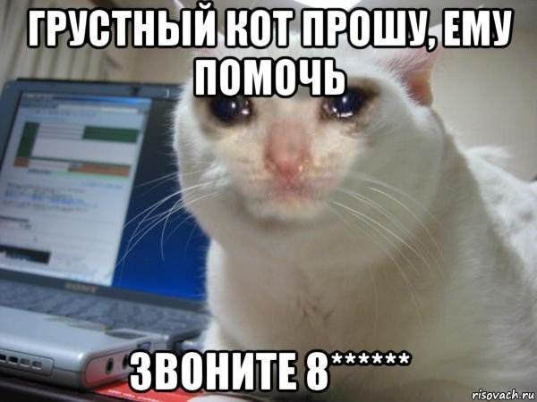 Грустный кот Мем