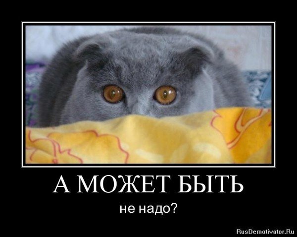 Может не надо котик
