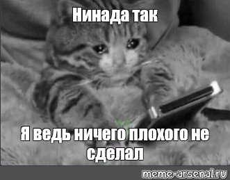Нинада Мем