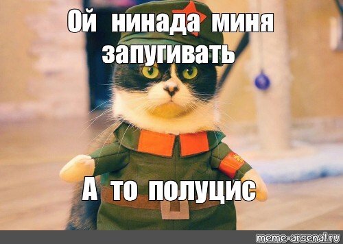 Котик нинада