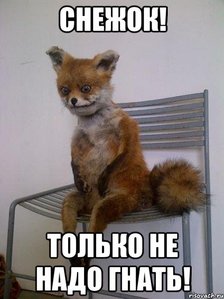 Нужные мемы
