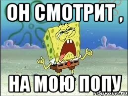 Мем с мопсом пора мыть попу