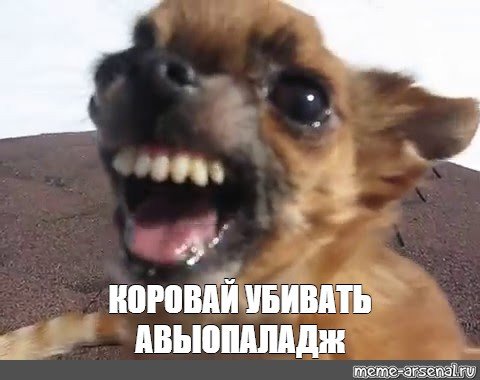 Смешная Рычащая собака