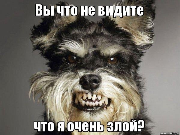 Злая овчарка Мем
