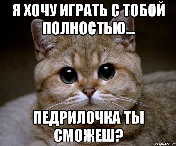 Я собака ты собака