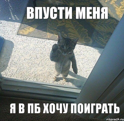 Чего вы добиваетесь Мем