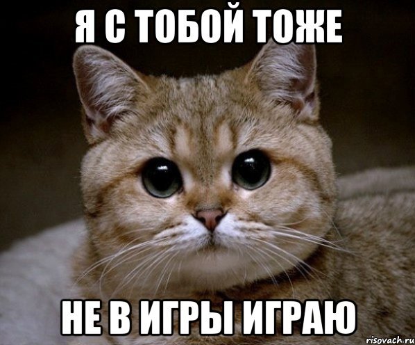 Ща я всё сделаю картинка
