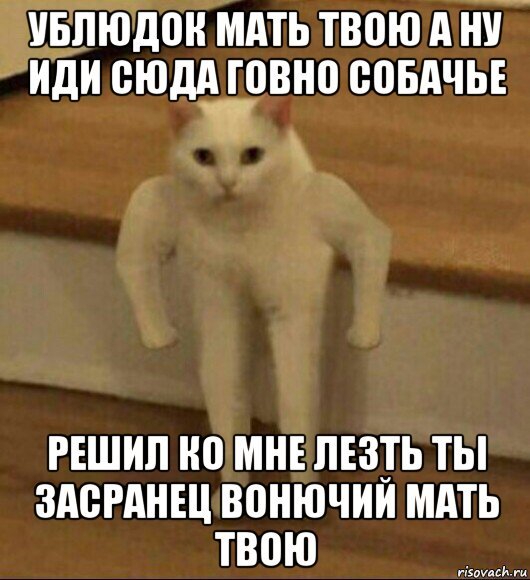 Пошли в доту