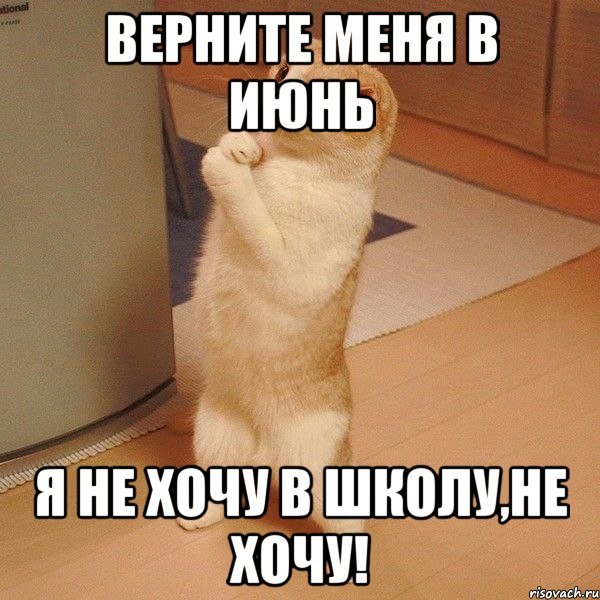 Игра слов картинки